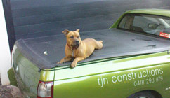 Ute and dog